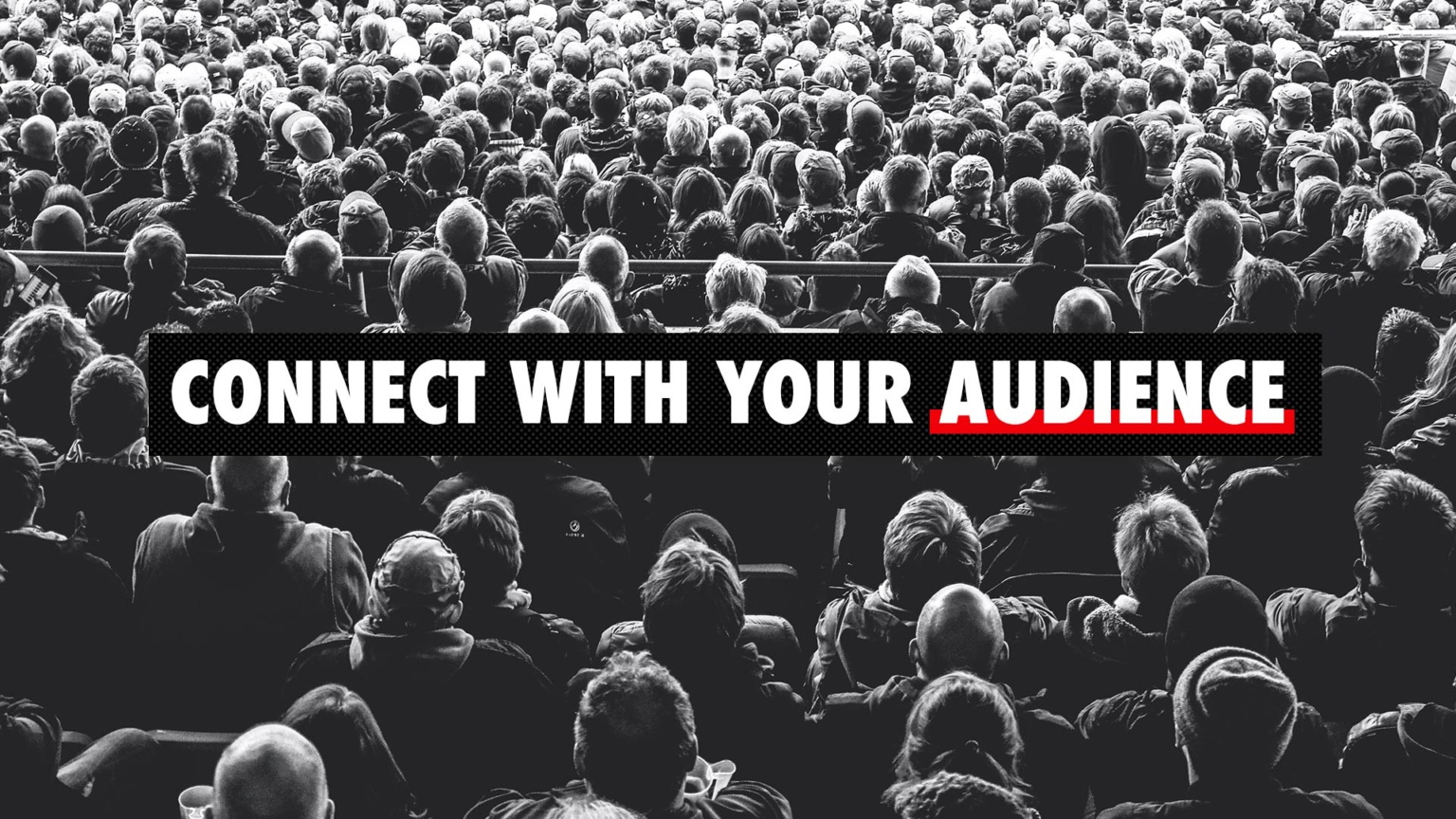 Connect With Your Audience